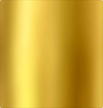 Load image into Gallery viewer, Gold Fast Pass
