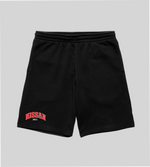 Load image into Gallery viewer, NISSAN Shorts
